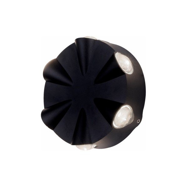 LED WALL LIGHT-6*2WATTS-BLACK BODY-WARM WHITE