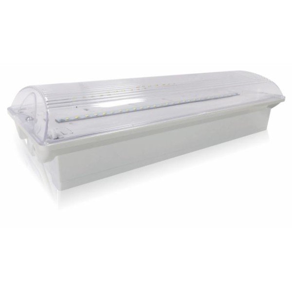 LED EMERGENCY LIGHT-SMD 4WATTS