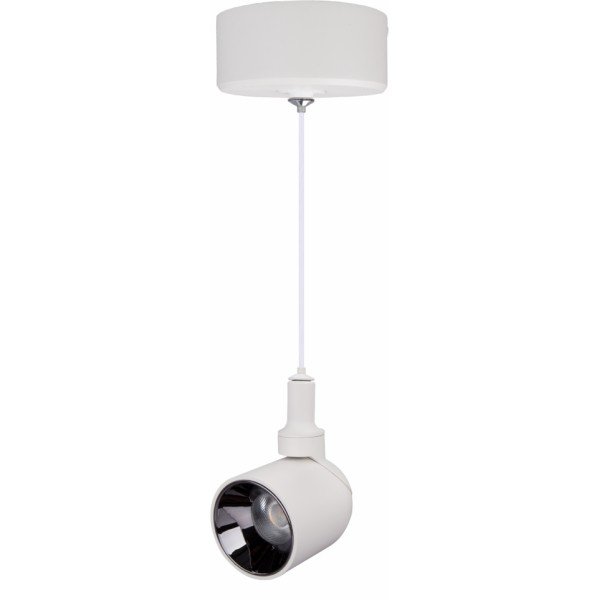 LED PENDANT SPOTLIGHT-10WATTS-WHITE BODY-WARM WHITE