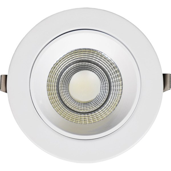 COB LED Down Light - 12W - White