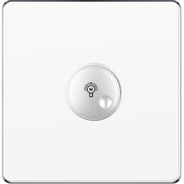 LIGHT DIMMER SWITCH - WHITE