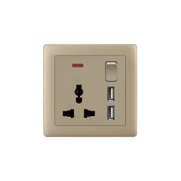 SINGLE MF SOCKET WITH 2 USB-MATTE GOLDEN SERIES